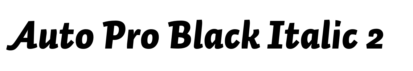 Auto Pro Black Italic 2